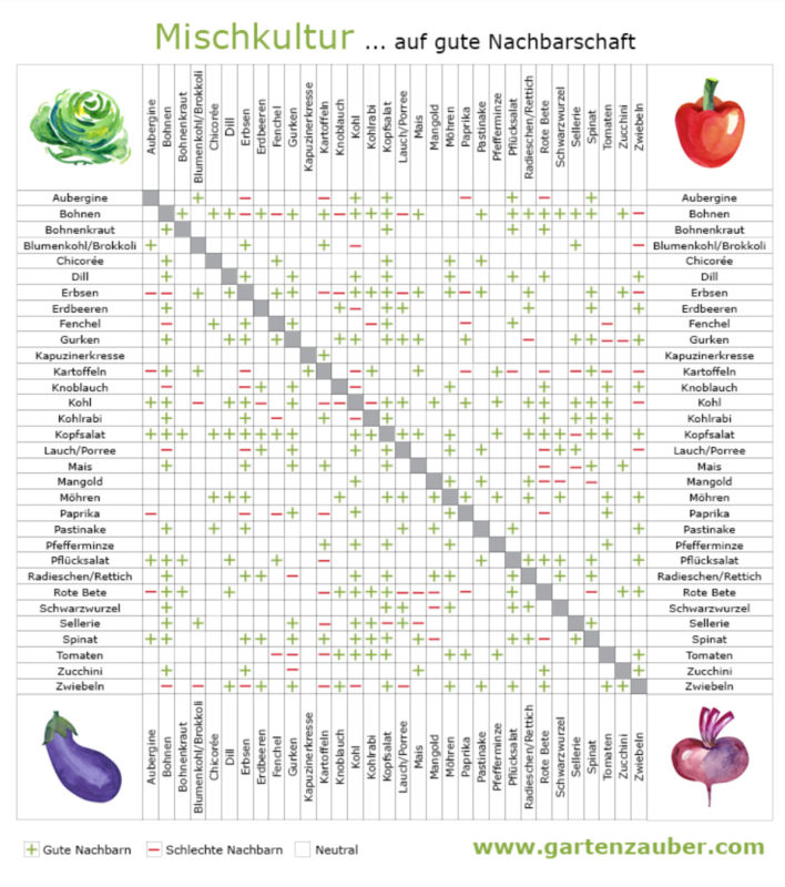 DIY-Gartenideen - quarantain